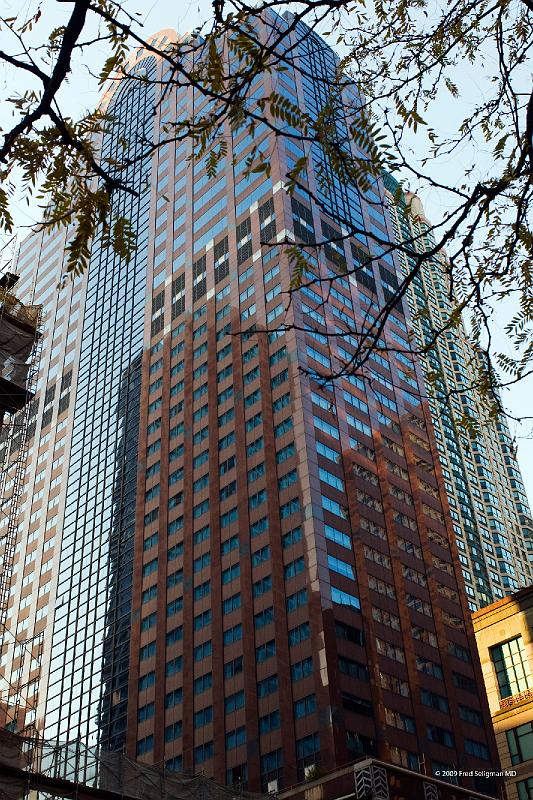 20081031_180111 D300 2x3 P1 srgb.jpg - Skyscraper,Magnificent Mile